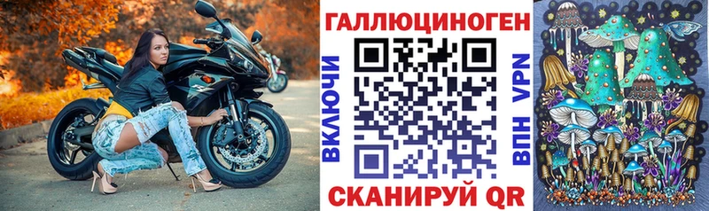 где купить наркотик Новоуральск Галлюциногенные грибы MAGIC MUSHROOMS