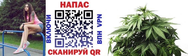 Бошки Шишки план ОМГ ОМГ Новоуральск